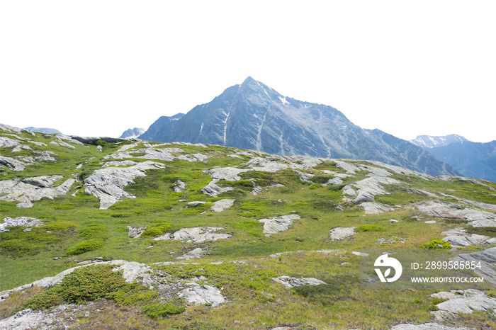 Isolated cutout mountains in the Alps in summer on a white background