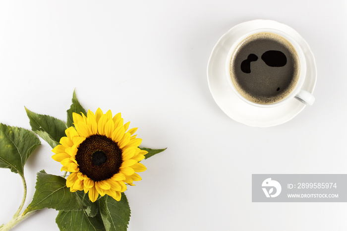 A cup of coffee and sunflower on white with space for text