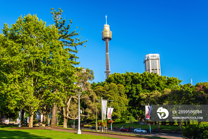 Hyde Park with modern building in the background in Sydney, Australia