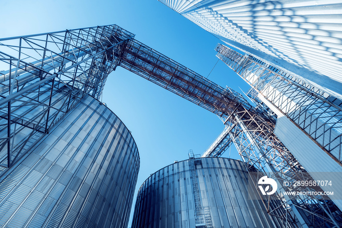 Modern silos for storing grain harvest. Agriculture.