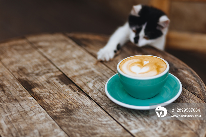 Wooden table with hot aroma coffee in light blue mug that cute black and white cat trying to touch by his small paw. Coffee shop terrace is a good place to enjoy nature and tasty beverage