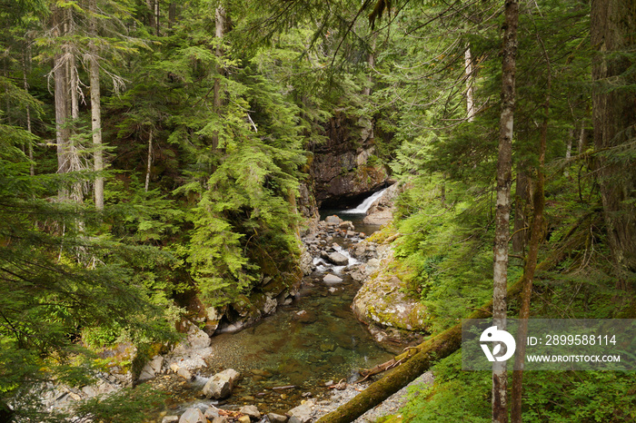 South fork Snoqualmie river below Franklin Falls. Washington. USA.