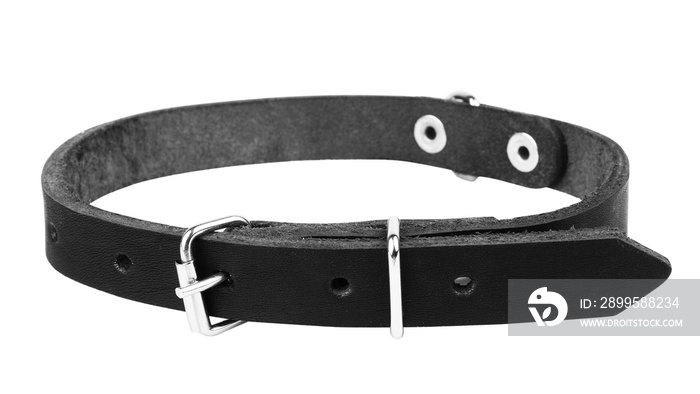 Leather black dog collar on a white background