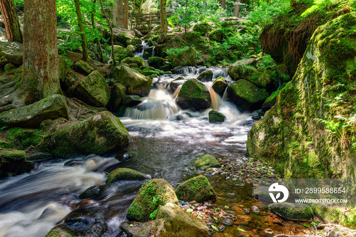 stream in a green forest on summer warm days. Peak District national park.