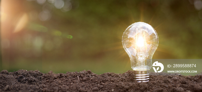 lightbulb with small plant on soil and sunshine. concept saving energy in nature