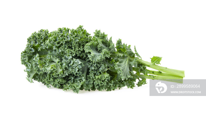 resh kale leaves on white background full depth of field