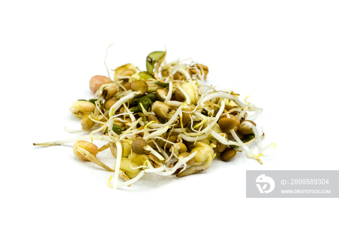 Mung bean sprouts isolated on white background