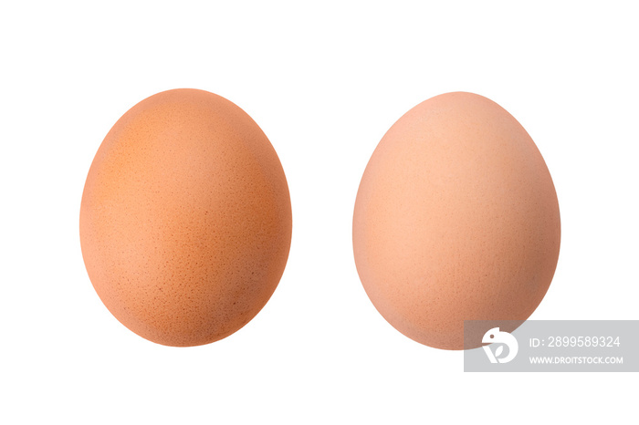 Brown chicken egg isolated on white background. Full Depth of field. Focus stacking. PNG