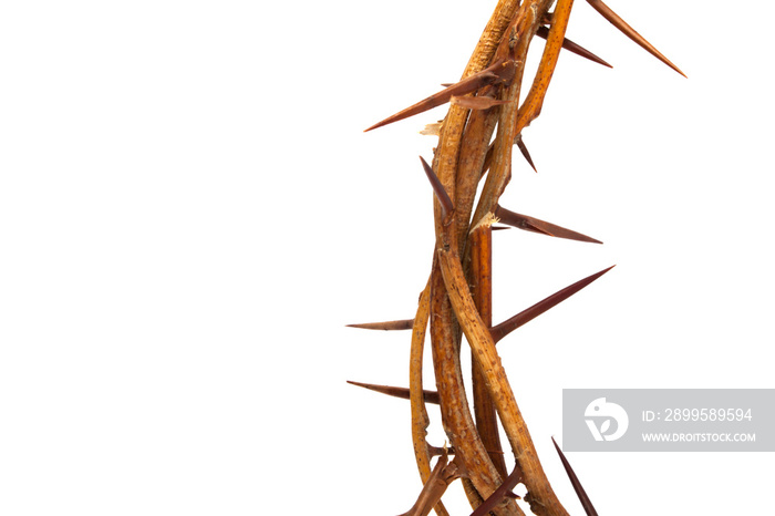 crown of thorns and cross