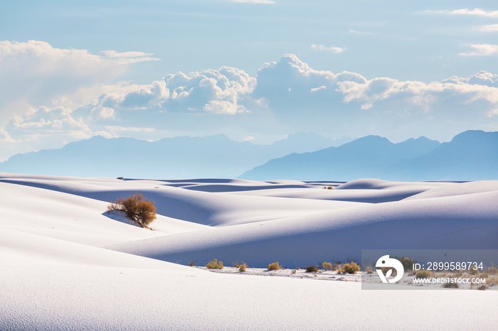 White sands