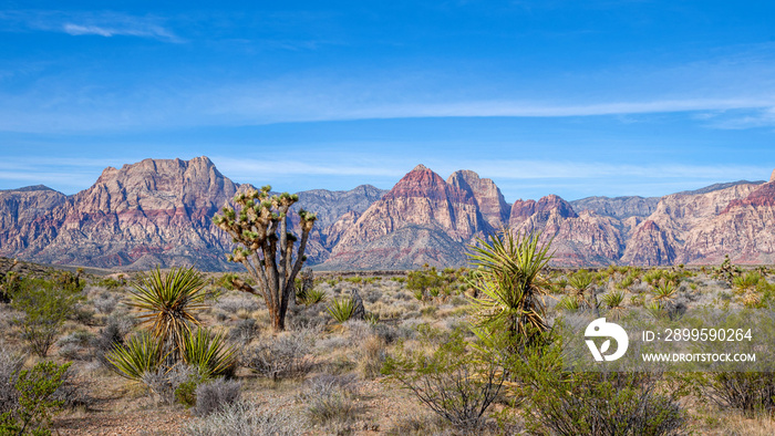 Red Rock Canyon National Conservation Area in Nevada