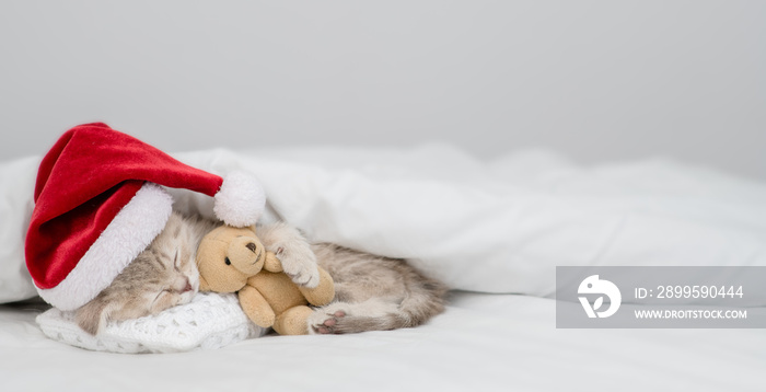 Baby kitten wearing red santa’s hat sleeps on a pillow under white blanket and hugs favorite toy bear. Empty space for text