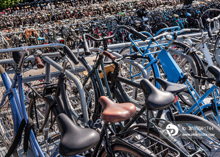 Bikes of Amsterdam