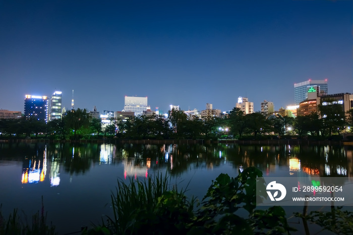 上野 不忍池 夜景