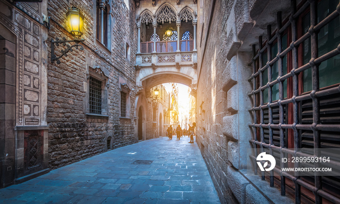 Narrow street with popular bridge in Gothic Quarter at dusk, Barcelona Spain.