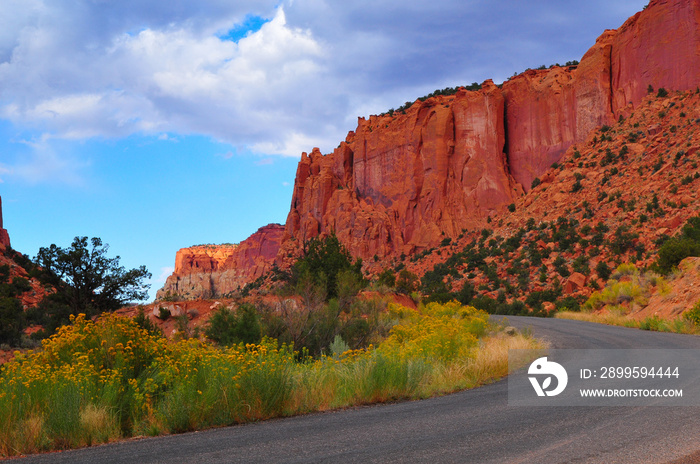 The Burr Trail road winding through the red rock walls of Long Canyon, Grand Staircase-Escalante National Monument, Utah, USA