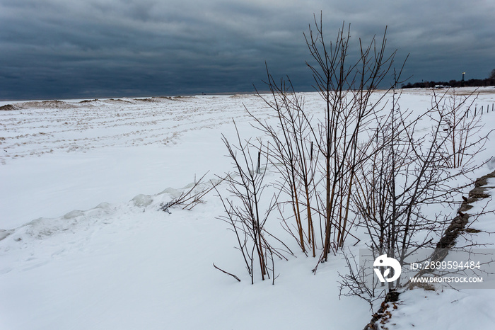 Small barren trees looking down a massive buildup of snow, sand and ice on Lake Michigan on gloomy overcast day in Chicago