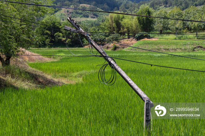 electric poles