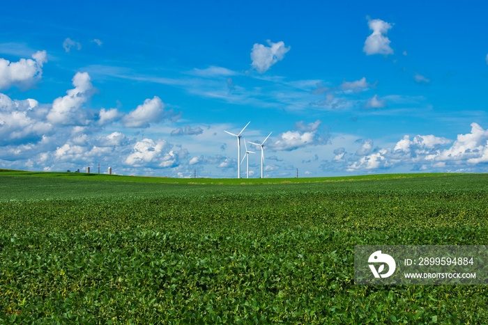 Rural Iowa in High Summer.