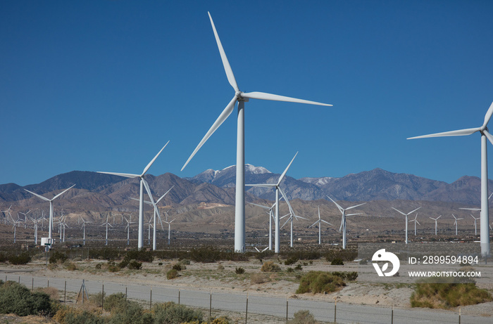 wind power plant in texas