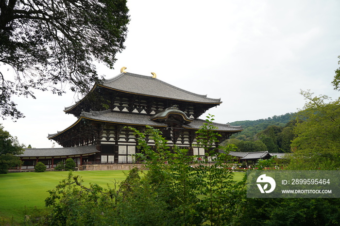 東大寺盧舎那仏像、とうだいじ、るしゃな、ぶつぞう、奈良、東大寺、大仏殿、金堂、仏像、大仏、奈良の大仏、国宝、大きい、仏像、仏教、仏、だいぶつ、なら、旅行、参拝、神聖、厳粛、歴史、石、参道、日本、観光地、遺産、遺跡、古い、木、信仰、旅行、寺院、観光、寺院、写真スポット、インスタ映え、沢山、ツアー、観光地、参拝、赤、朱赤、登山、お参り