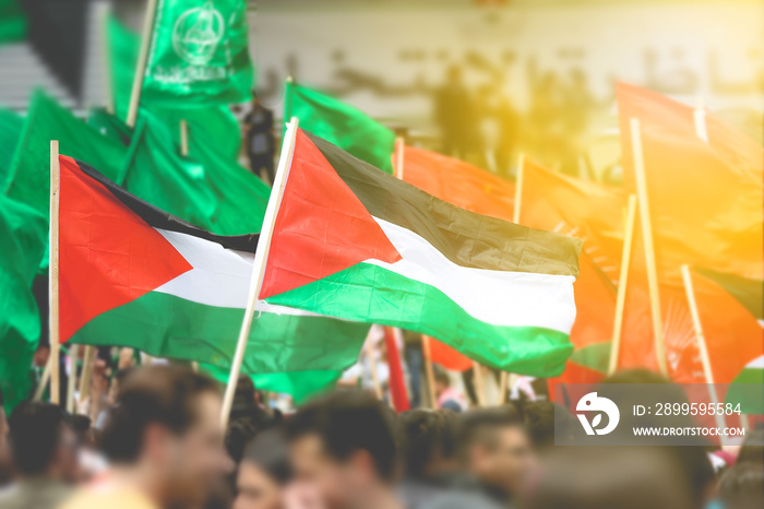 Palestine flags held by Palestinian people with sun flare concept