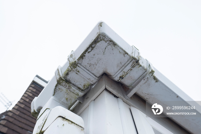 Dirty clogged white plastic pvc gutters and drain pipes with mossy green mould on plastic fascias.  Blocked drains and guttering need window cleaners and regular yard  maintenance for good drainage.