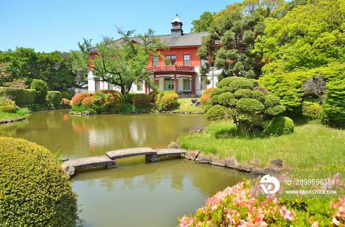 小石川植物園・日本庭園