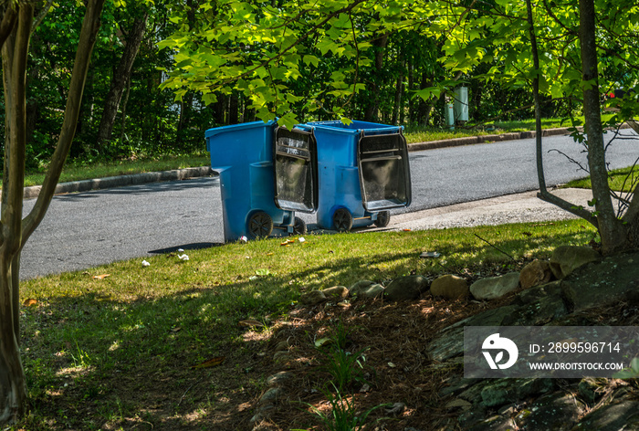 Garbage cans at the curbside