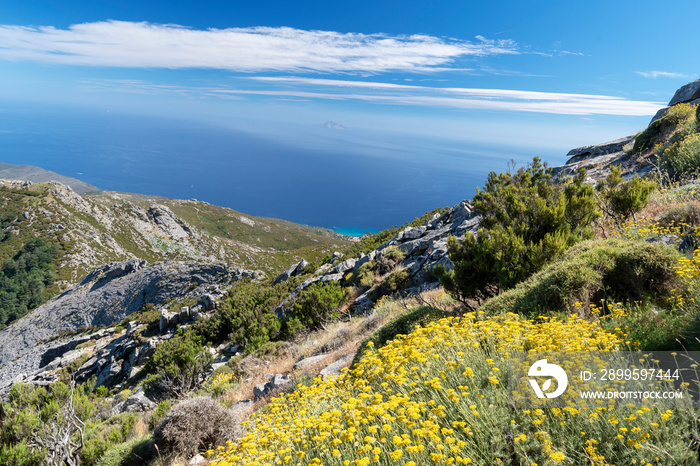 View on Montecristo and Seccheto from Monte Capanne, Elba Island