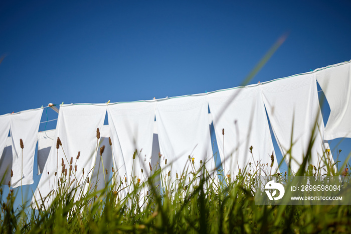 clean white clothes hanging on a rope moved by the wind in green meadow