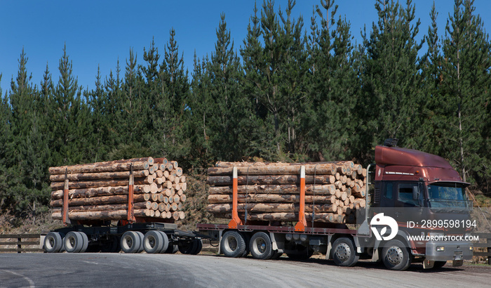 Logging truck. Northland New Zealand. Forestry. Trucking. Transport. Lumber.