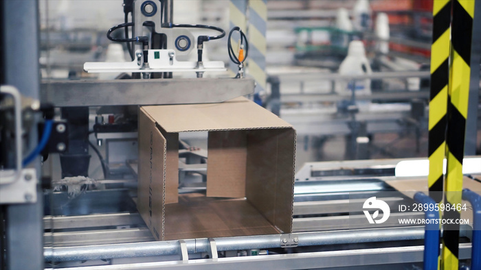 Cardboard package box packing machine. Clip. Box forming production line