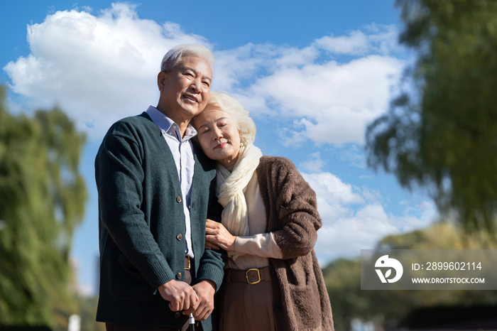 幸福的老年夫妇