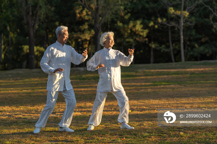 老年夫妇正在练太极拳