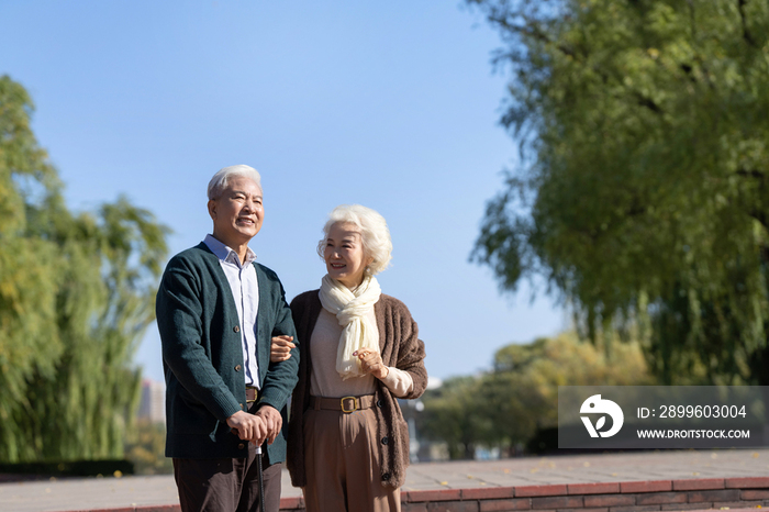 户外幸福的老年夫妇