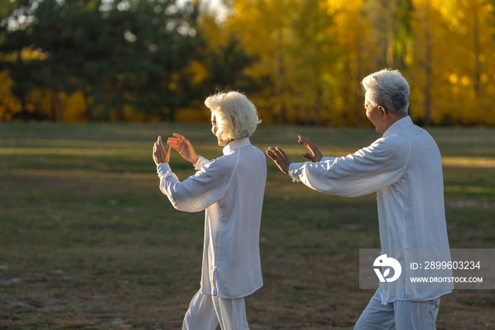 老年夫妇正在练太极拳