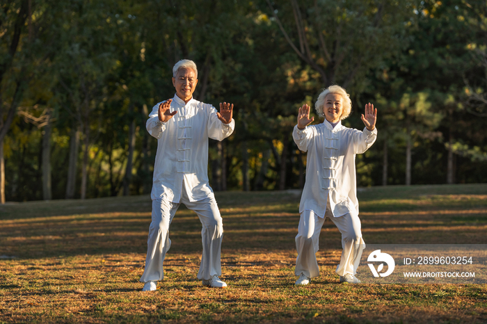 老年夫妇正在练太极拳