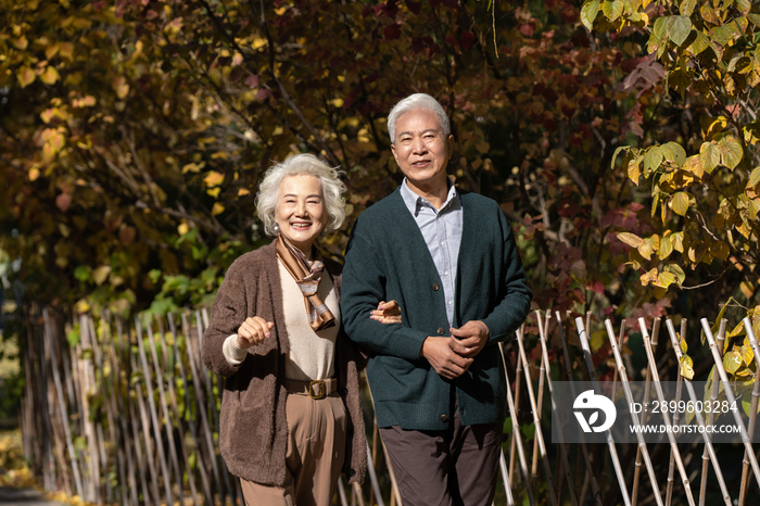 户外幸福的老年夫妇散步