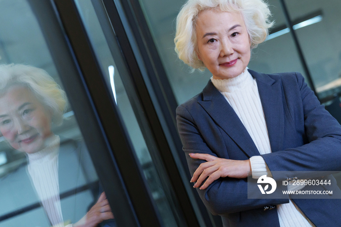 权威的商务老年女士