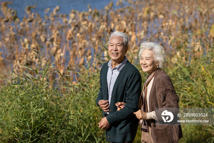 户外散步的幸福老年夫妇