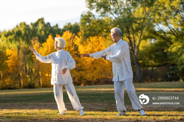 老年夫妇正在练太极拳