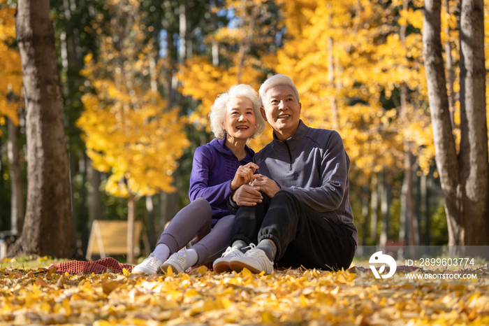 户外老年夫妇坐在落叶上