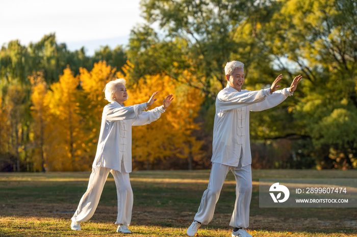 老年夫妇正在练太极拳