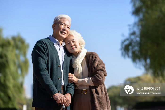 户外幸福的老年夫妇