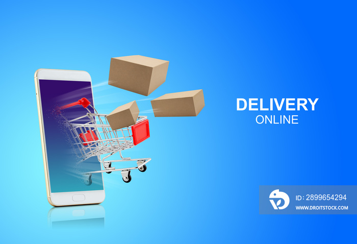 Fast express delivery package for shopping online on phone, app service online to internet with smar