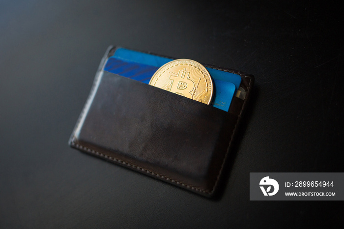 Bitcoin coin in the wallet
