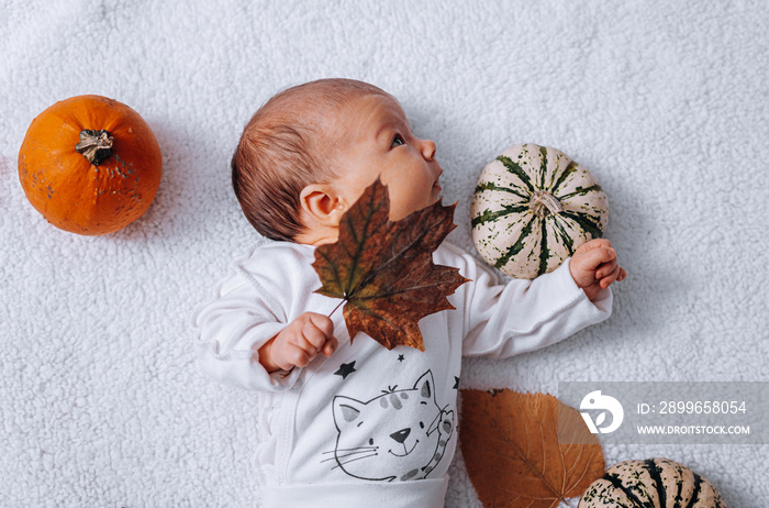 nursing baby infant in white clothes on a white background among pumpkins and autumn leaves