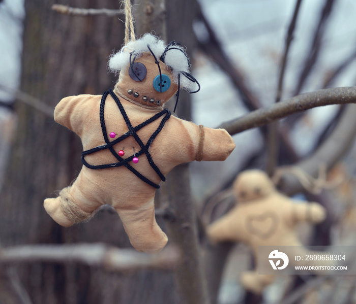 Voodoo doll with pins hanging on the tree. Mystic background with ritual esoteric objects, occult an