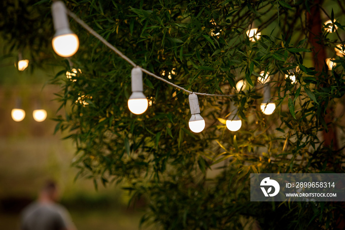 The chain of light bulbs at event.